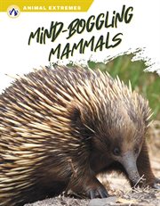 Mind-Boggling Mammals : Boggling Mammals cover image