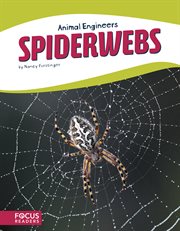 Spiderwebs cover image