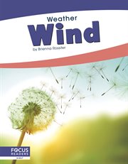 Wind cover image
