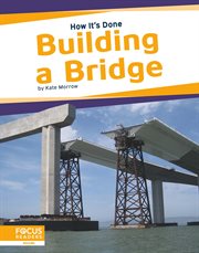 Building a bridge cover image
