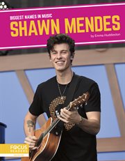 Shawn mendes cover image