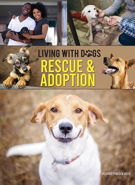 Cover image for Rescue & Adoption