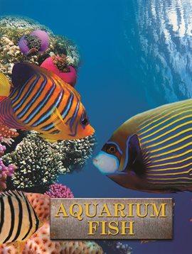 Cover image for Aquarium Fish