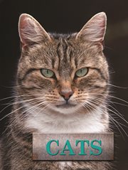 Cats cover image