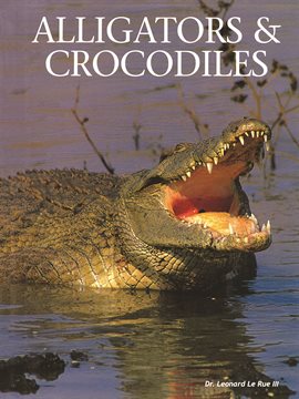 Cover image for Alligators & Crocodiles