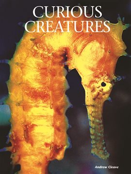 Cover image for Curious Creatures