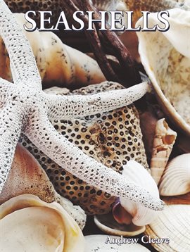 Cover image for Seashells