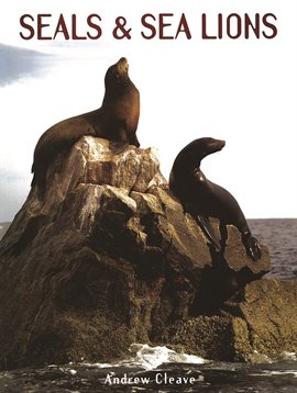 Cover image for Seals & Sea Lions