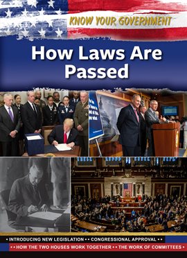 Cover image for How Laws Are Passed