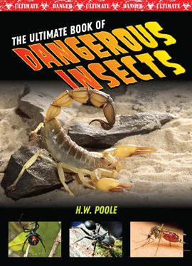 Cover image for The Ultimate Book of Dangerous Insects