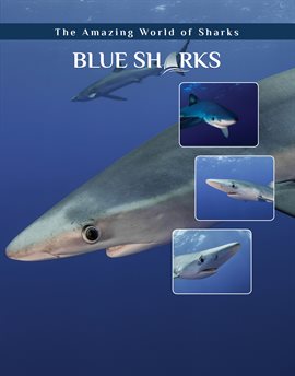 Umschlagbild für Blue Sharks