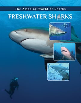 Umschlagbild für Freshwater Sharks