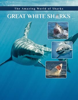 Umschlagbild für Great White Sharks
