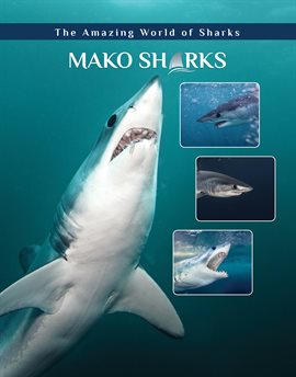 Image de couverture de Mako Sharks