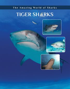 Cover image for Tiger Sharks