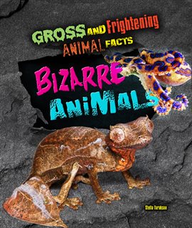 Cover image for Bizarre Animals