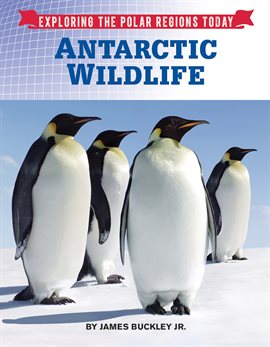 Cover image for Antarctic Wildlife