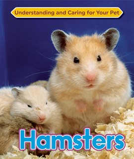 Hamster Lifespan - How Long Do Hamsters Live? - VIVO Pets