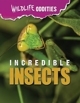 Imagen de portada para Incredible Insects