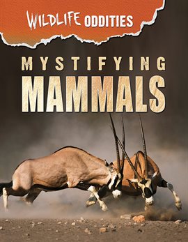 Cover image for Mystifying Mammals