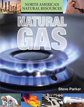 Cover image for Natural Gas