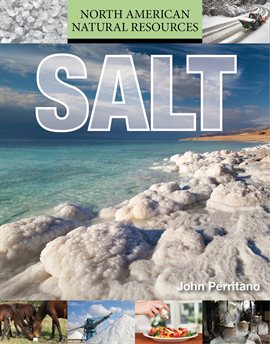 Cover image for Salt