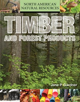 Cover image for Timber and Forest Products