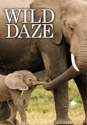 Wild daze cover image