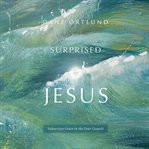 Surprised by jesus. Subversive Grace in the Four Gospels cover image