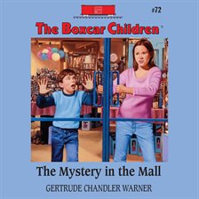 Cover image for The Mystery in the Mall