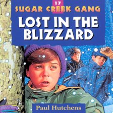 Cover image for Lost in the Blizzard