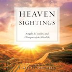 Heaven sightings : angels, miracles, and glimpses of the afterlife cover image