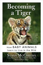 Becoming a Tiger : The Education of an Animal Child cover image