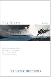 The Storm : A Novel cover image