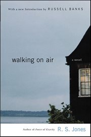 Walking on Air : A Novel cover image