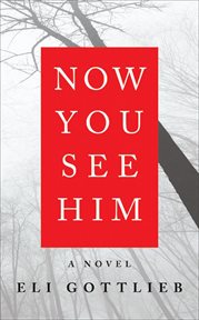 Now You See Him : A Novel cover image