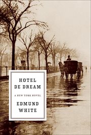 Hotel de Dream : A New York Novel cover image