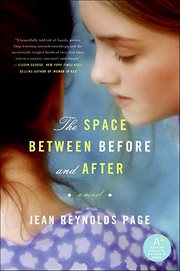 The Space Between Before and After : A Novel cover image