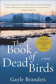 The Book of Dead Birds cover image