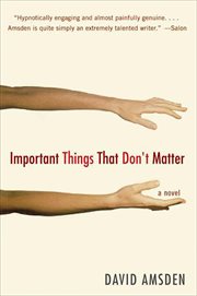Important Things That Don't Matter : A Novel cover image
