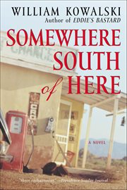 Somewhere South of Here : A Novel cover image