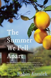 The Summer We Fell Apart : A Novel cover image