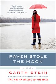 Raven Stole the Moon : A Novel cover image