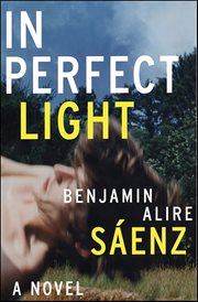 In Perfect Light : A Novel cover image