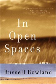In Open Spaces : A Novel cover image
