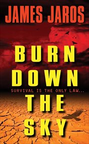 Burn Down the Sky cover image