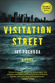Visitation Street : A Novel cover image