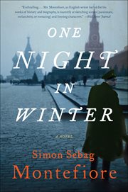 One Night in Winter : A Novel cover image