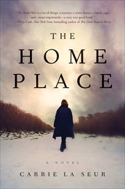 The Home Place : A Novel cover image