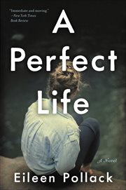 A Perfect Life : A Novel cover image